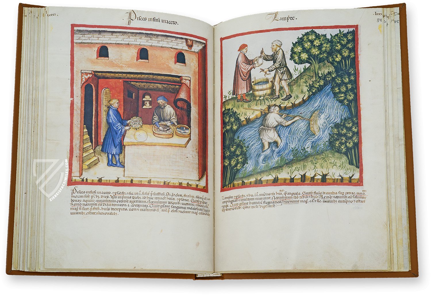 Paradisiacal images as an expression of aristocratic wishful thinking (Tacuinum Sanitatis in Medicina, Lombardy (Italy) – end of the 14th century)